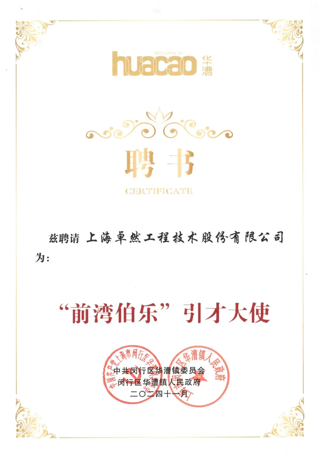 SupeZET 2024 Q4 Dynamic Overview